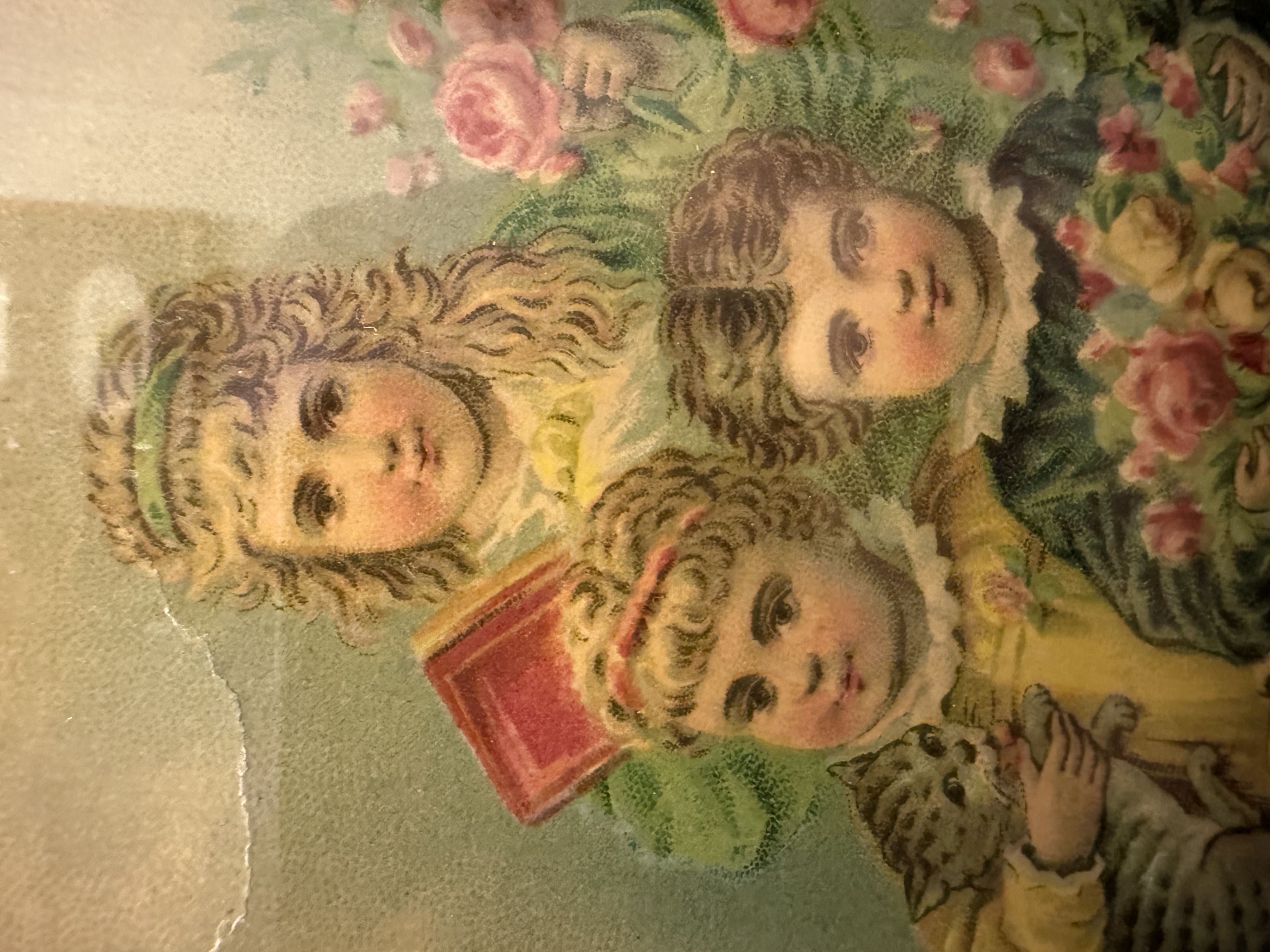 Curio & Cards profile portrait